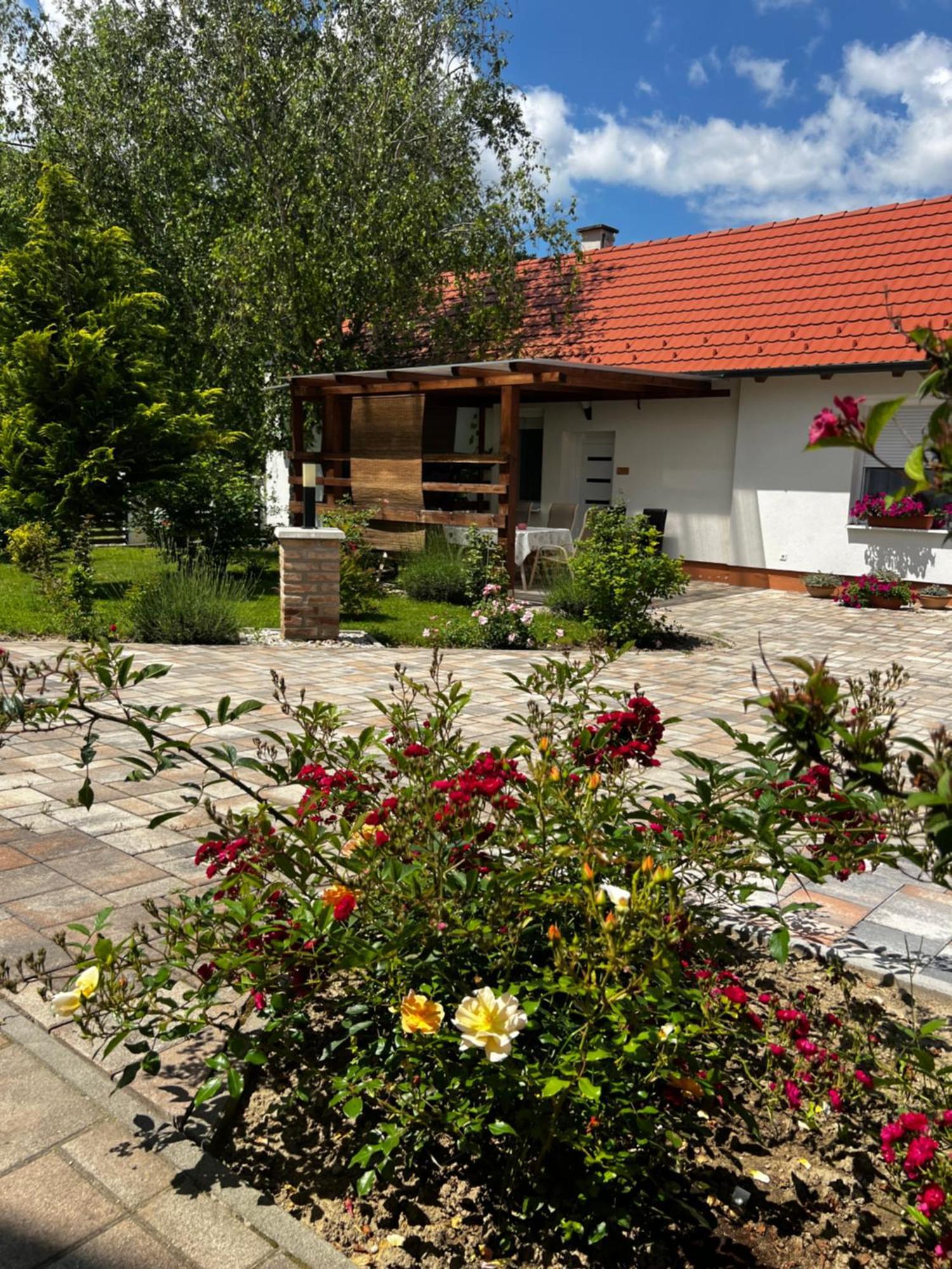 Dreko Panzio & Borbisztro Bed and Breakfast Győrújbarát Buitenkant foto